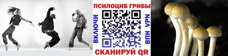 Купить закладки  Елабуга  Галлюциногенные грибы GOLDEN TEACHER 